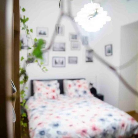 Fred'S Home Guest Room, Vieuxport, Climatise, Friendly Marsiglia Esterno foto